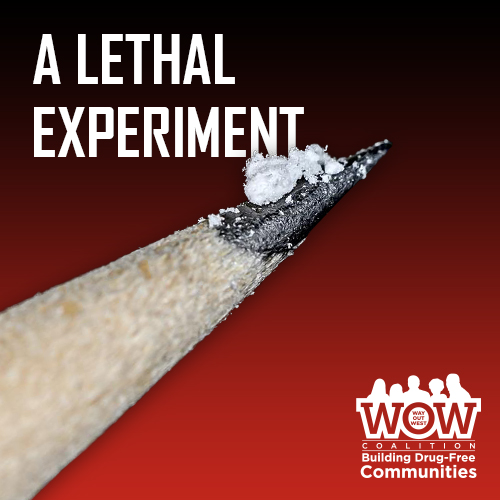 A Lethal Experiment